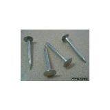 Roofing Nails thumbnail-1
