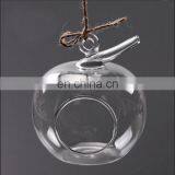 Hanging Terrarium Glass Terrarium Plants Home Decoration