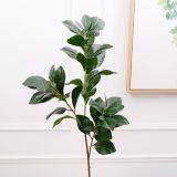 Wholesale Real Touch Flower Arrangement Olive Leaves Artificial Leaves thumbnail-4