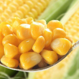 New Crop Sweet Corn Natural Fresh Sweet Corn Food Prices Chinese Exports Delicious Sweet Corn thumbnail-2