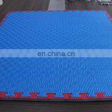 Martial Arts Floor Eva Professional Taekwondo Mats thumbnail-3