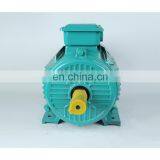 Electric Motor for Conveyor Belt Induction Motor thumbnail-6