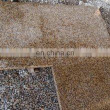 Golden Beach Yellow Granite China Cheap Yellow Granite thumbnail-5