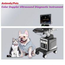 Animal Color Doppler Ultrasound Diagnostic Instrument