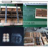Multi Station Vacuum Thermoforming Machine Plastic Food Box Making Machine thumbnail-6