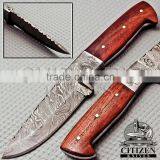 CITIZEN KNIVES, BEAUTIFUL CUSTOM HAND MADE DAMASCUS STEEL HUNTING KNIF thumbnail-1