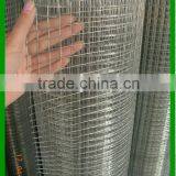 1/4 Inch Electro Galvanized Welded Wire Mesh