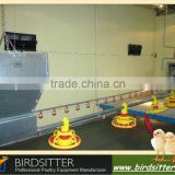 hottest sale broiler and breeder use broiler chicken farm