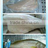 Fresh frozen seabass fillet