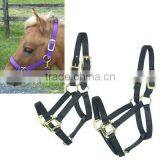 Mini Nylon Halter thumbnail-1