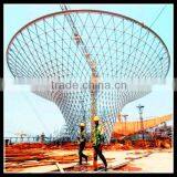 Fashionable Steel Structure Roofing