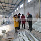 Pig Farming Bulding Material/FRP Beams for Pig Farrowing Bed /poultry House thumbnail-4