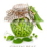 Hot Sell Canned Green Peas thumbnail-5