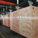 TCK6336S Ace Cnc Lathe Machines thumbnail-5