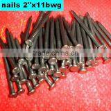 Libya Market Nails thumbnail-3