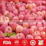 Healthy and Nutritious Fresh Red Fuji Apple thumbnail-3