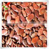 hulled red watermelon seeds