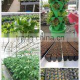 Vermiculite for Garden Potting Soil/ Greenhouse/Greenroof/Landscaping thumbnail-5