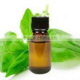 100% Natural & Pure Basil Oil / India's No. 1 Basil Oil / Basil Essential Oil thumbnail-2