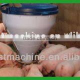 Pig Feeding Equipments / Automatic System thumbnail-5