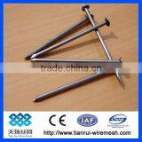 Common Wire Nail/polished Common Nail/bright Common Nail thumbnail-4