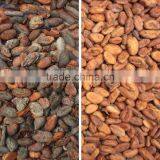 Agricultural Machines Advanced Optical Sorting Cocoa Bean CCD Color Sorter thumbnail-3