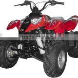 80cc ATV With EEC thumbnail-1