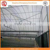 Agriculture Equipment Multi-span 12m Plastic PE Film Agriculture Greenhouse for Sale thumbnail-4