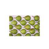 Fresh Pear thumbnail-1