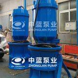 Pitshaft Axial- Flow Pump thumbnail-2