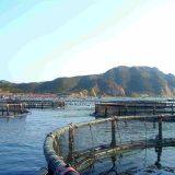 Square And Circle Aqua Cage Fisheries Deep Sea Aquaculture Cage thumbnail-3