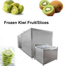 Hot Sale Frozen Kiwifruit Process/Fast Freezing Freezer Machinery Supplier