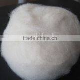 100% white Cashmere Raw fibre