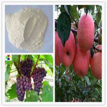 Good Product Chemicals Sabscisic Acid Saba Powder 10%sp With Best Price thumbnail-2