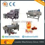 Leader Stainless Steel Litchi Pulp Making Line With CE & ISO thumbnail-2