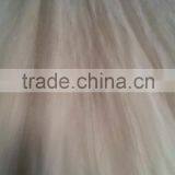 Beech Wood Veneer,beech Core Veneer for Wardrobe thumbnail-3