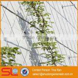 2mmx50mm Stainless Steel Rope Mesh Green Wall thumbnail-5