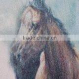 New Fashion Horse Design Printing Cotton Knit Fabric for t Shirt Clothing thumbnail-2