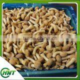 High Quality Top Quality Frozen Fresh Nameko thumbnail-4