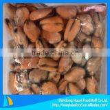 new fresh frozen cooked mussels meat