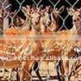 Stainless Steel Rope Mesh/zoo Mesh