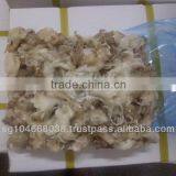 Frozen Cuttlefish Tentacles thumbnail-1