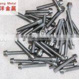 China Supplier Pure GR2 Titanium Hexagon Head Bolts/screw thumbnail-4