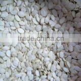 Snow White Pumpkin Seed in Shell thumbnail-1