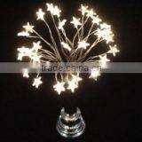 LED Festival Lights thumbnail-1