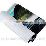 Pocket Bike Sticker One Way Vision