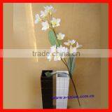 Beautiful Home Decorative Artificial Frangipani Flower Yiwu