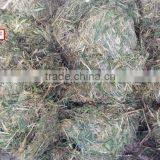 PASTURE DEWATERER Machinery