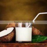 Coconut Milk in Can High Fat From Vietnam thumbnail-4