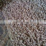 Tapioca Residue for Animal Feed thumbnail-5